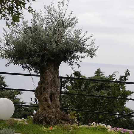 Bed & Breakfast Corte Del Gallo