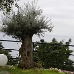 فندق مبيت وإفطار Corte Del Gallo