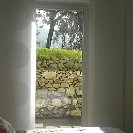 Bed & Breakfast Corte Del Gallo Corniglia