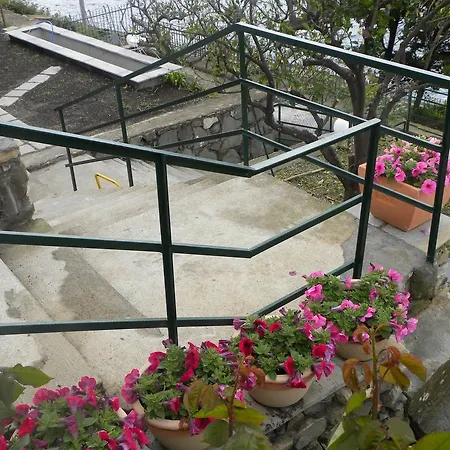 Corte Del Gallo Corniglia