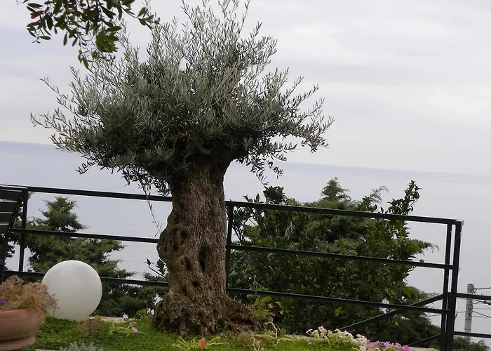 فندق مبيت وإفطار Corte Del Gallo