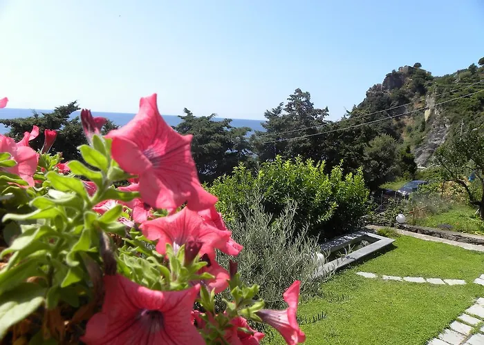 Bed and breakfast Corte Del Gallo Corniglia