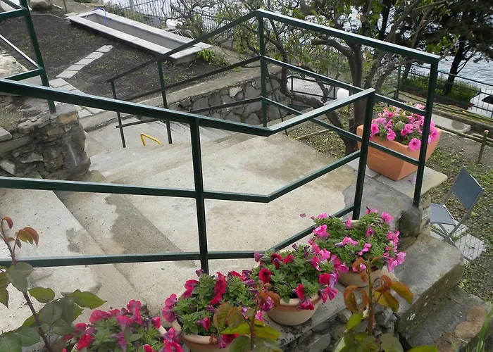 Corte Del Gallo Corniglia